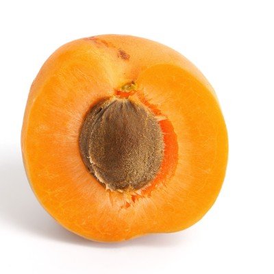 Apricot