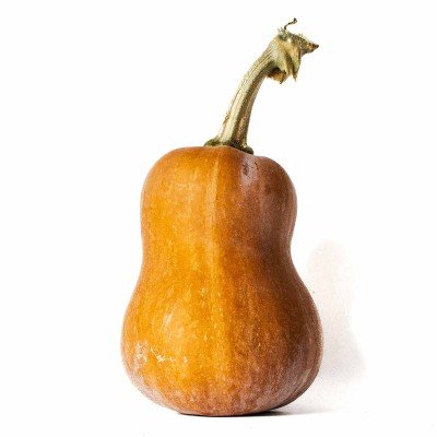 Squash